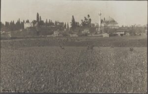 Hadım İbrahim Paşa Camii ve Bostanlar