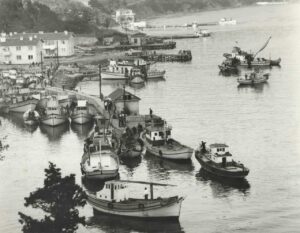 Rumelikavağı'nda Balıkçı Tekneleri 13 Rumelikavağı'nda Balıkçı Tekneleri