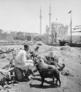 Ortaköy'de Mancacı