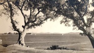 Moda Burnu'ndan Adalara Bakış