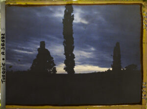 A36582 Constantinople(actuelleIstanbul)-Turquie