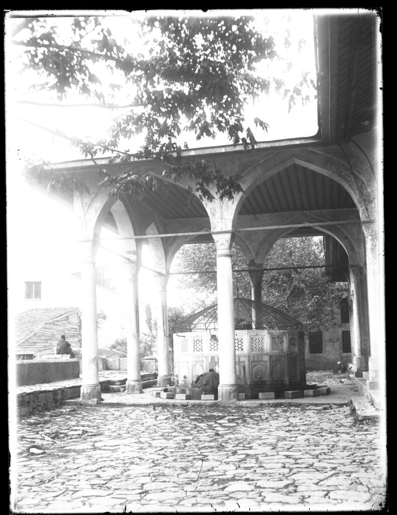 Images 19 Images