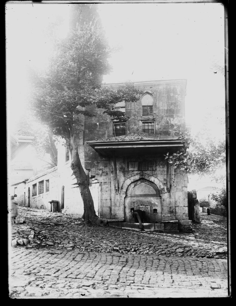 Images 18 Images
