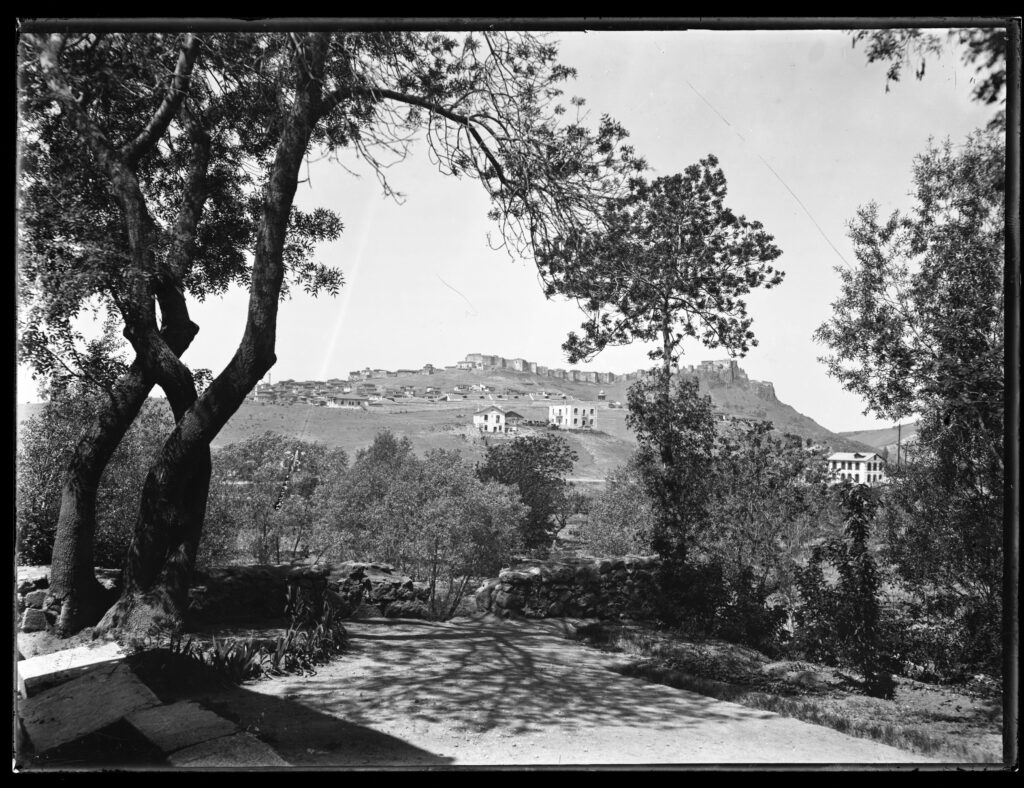 Images 8 Images