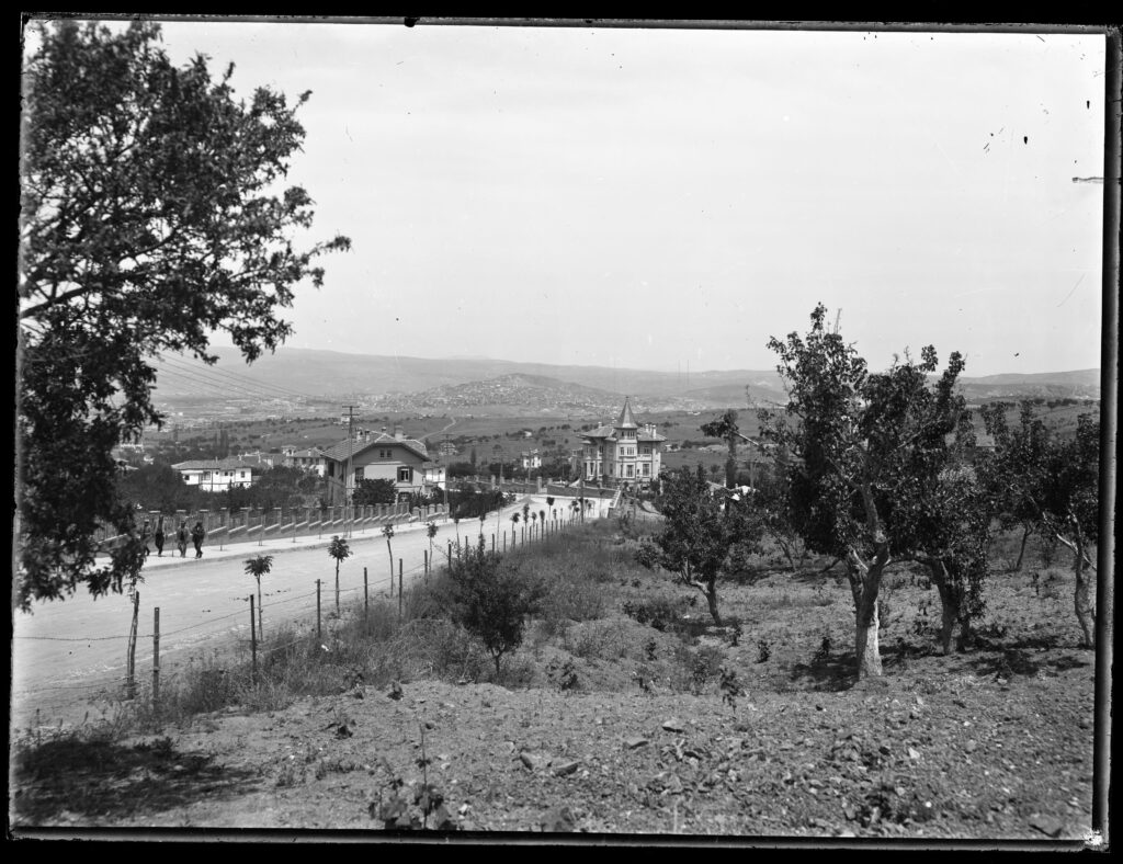 Images 7 Images