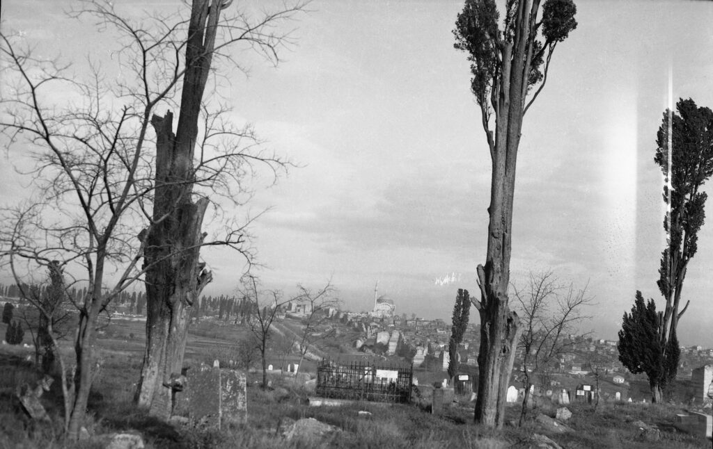 Images 16 Images