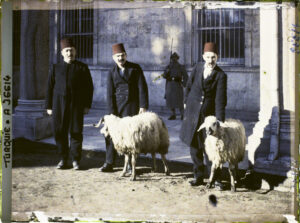 A36614 Constantinople(actuelleIstanbul)-TurquieLesdeuxmoutonsdevantetresacrifies-auTopkapi-Sarayi(palaisdelaPorte-du-Canon)-lejourdel'investitureduCalife